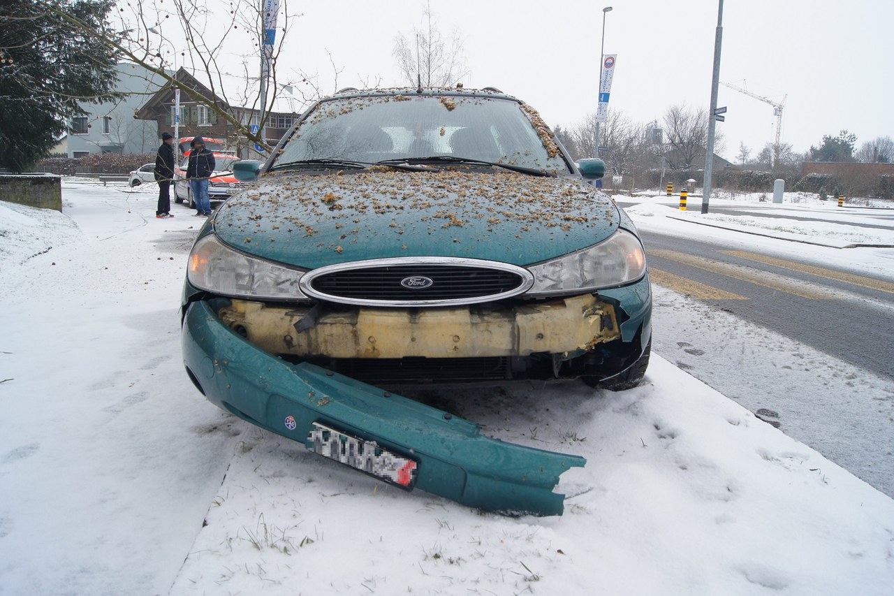Lernfahrer kollidiert mit Baum
