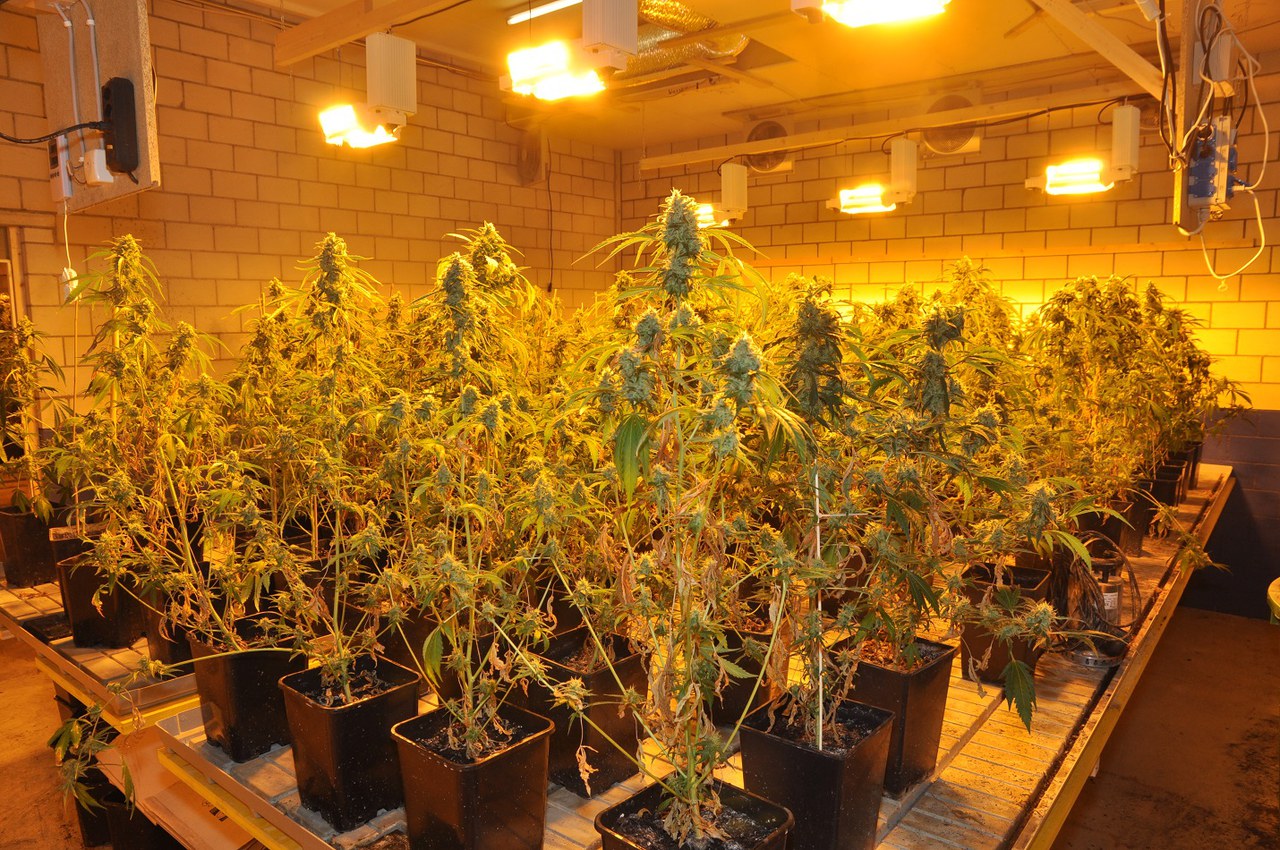 Ermittlungen führten zum Fahndungserfolg