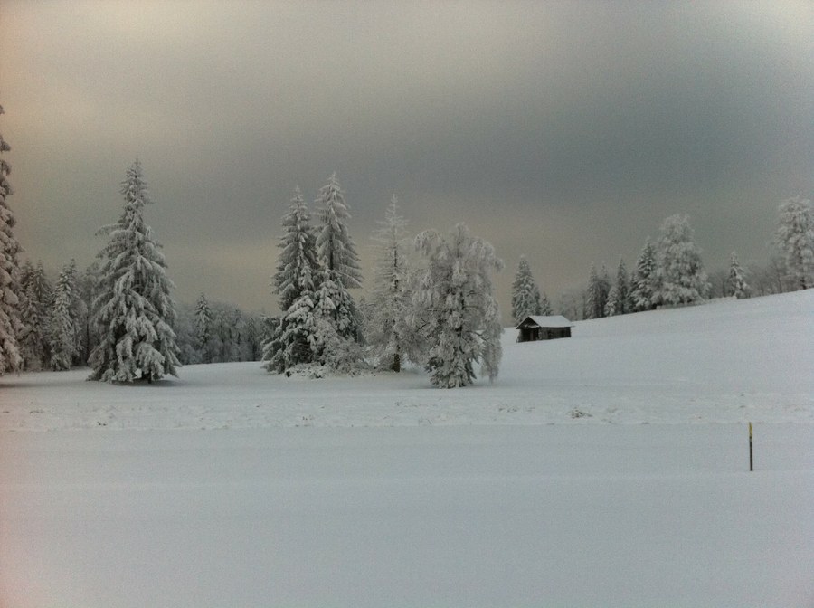 Verschneiter Zugerberg