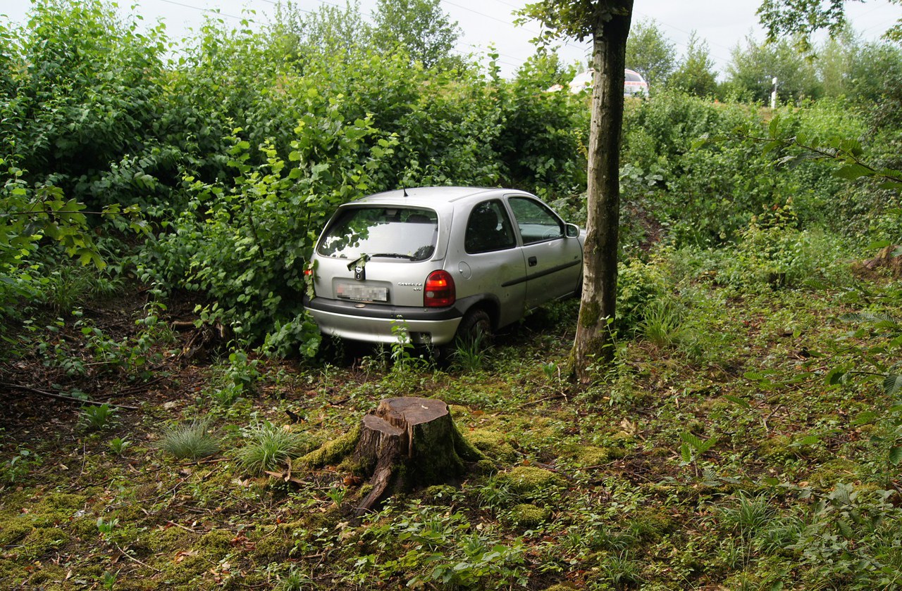 Selbstunfall Verzweigung Rütihof