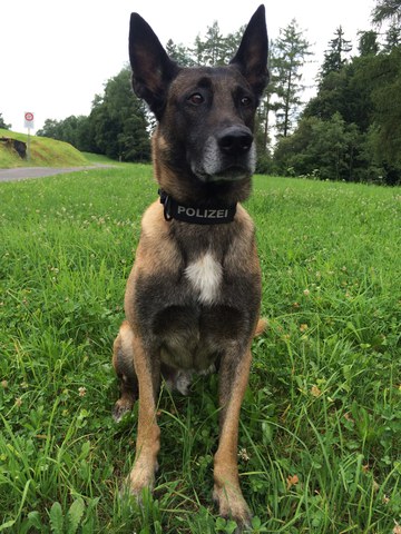 Zug, 15. August 2016, 16:45