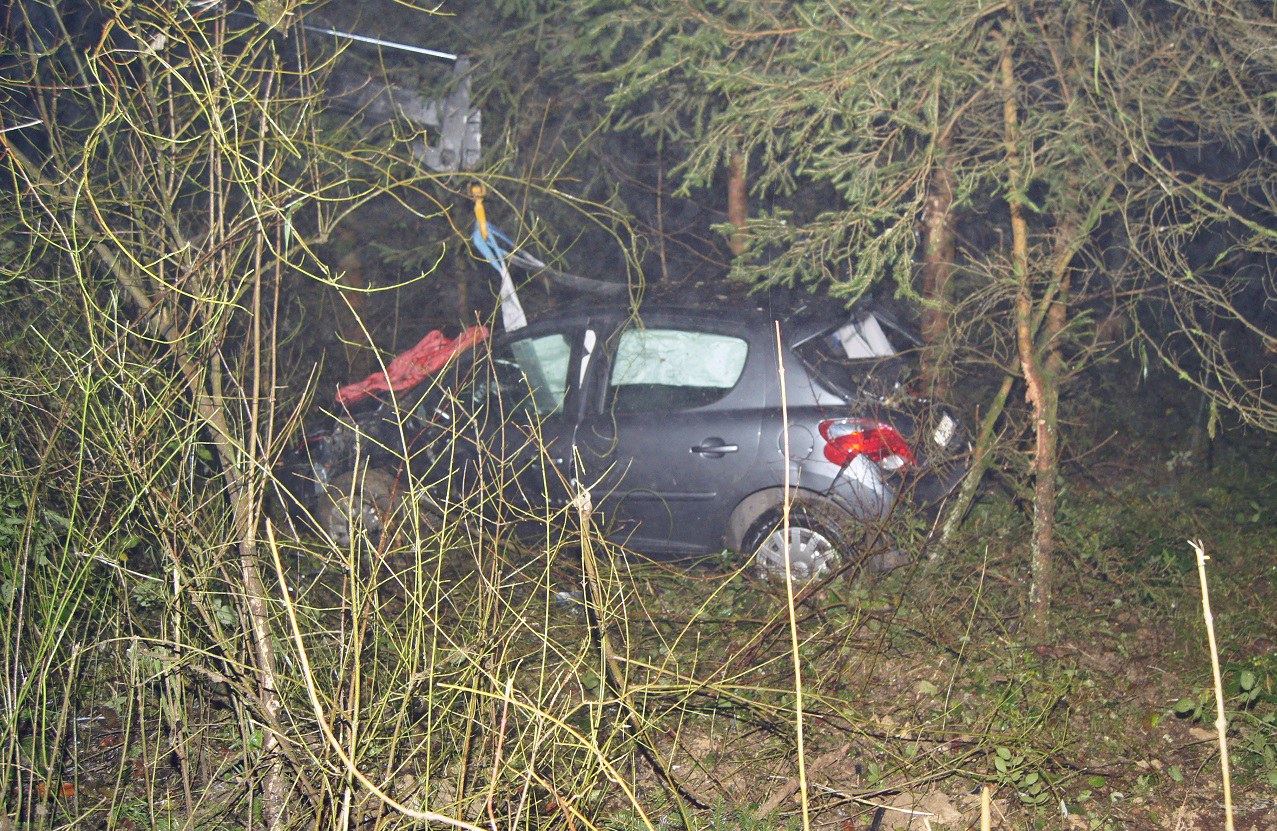 Eingeklemmt zwischen Bäumen