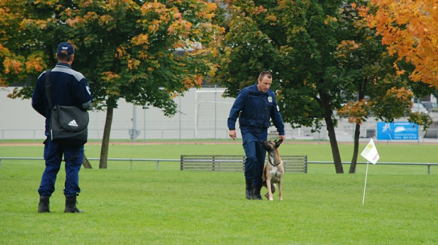 Daniel Kamer mit Lennox