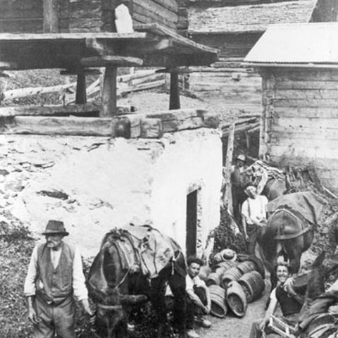 Weintransport in St. Luc (VS)