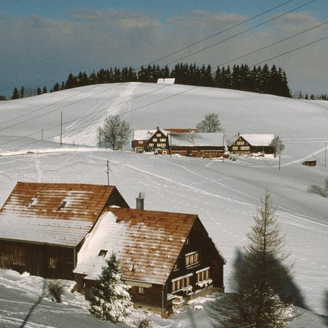 Bauernhof im Winter (AP)